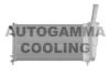 AUTOGAMMA 103356 Radiator, engine cooling